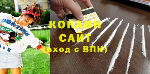 гидропоника Каменка