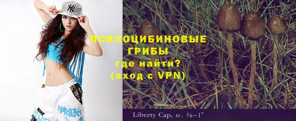 mix Каменногорск