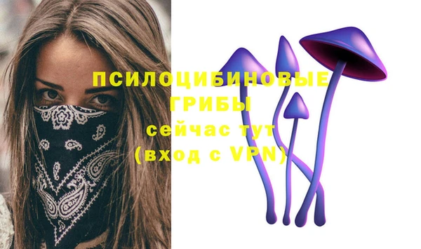 mix Каменногорск