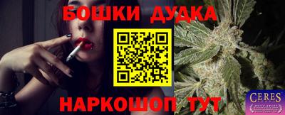 хмурый Кингисепп