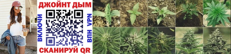 Каннабис Bruce Banner  Красноармейск 